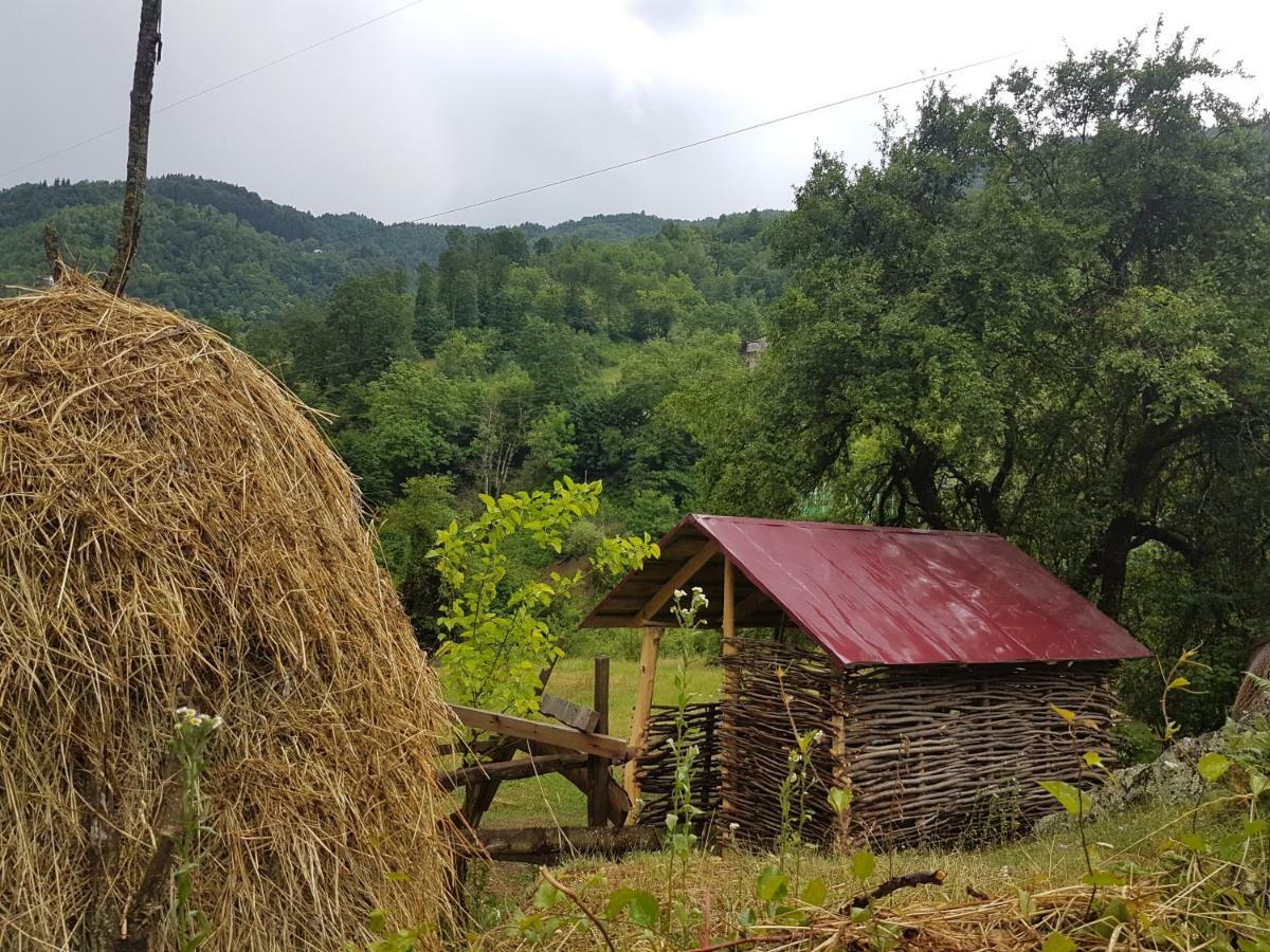Guest House "Oasis" Khulo Экстерьер фото