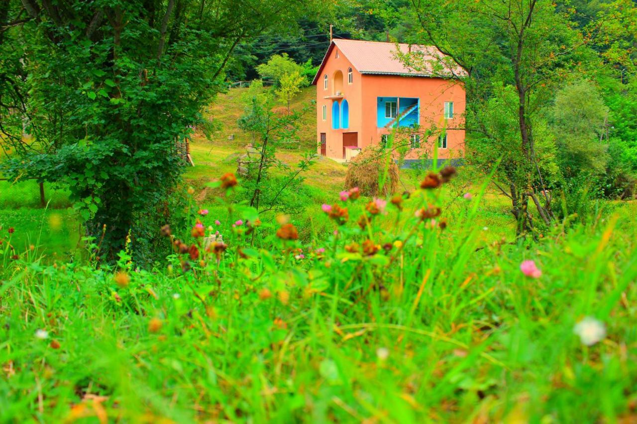 Guest House "Oasis" Khulo Экстерьер фото
