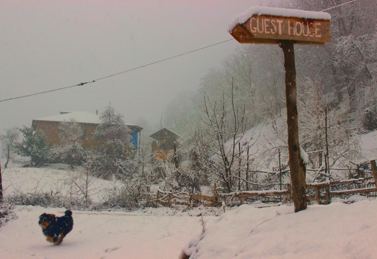 Guest House "Oasis" Khulo Экстерьер фото